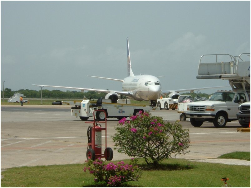Flight2 (5)